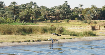 Nile Egypt
